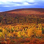 Hotel Lapland Riekonlinna
