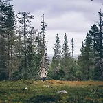 Lapland Riekonlinna Hotel