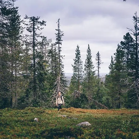 Lapland Riekonlinna Hotel