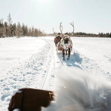 Lapland Riekonlinna 4* Saariselka