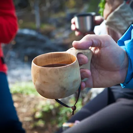 Lapland Riekonlinna Otel Saariselka