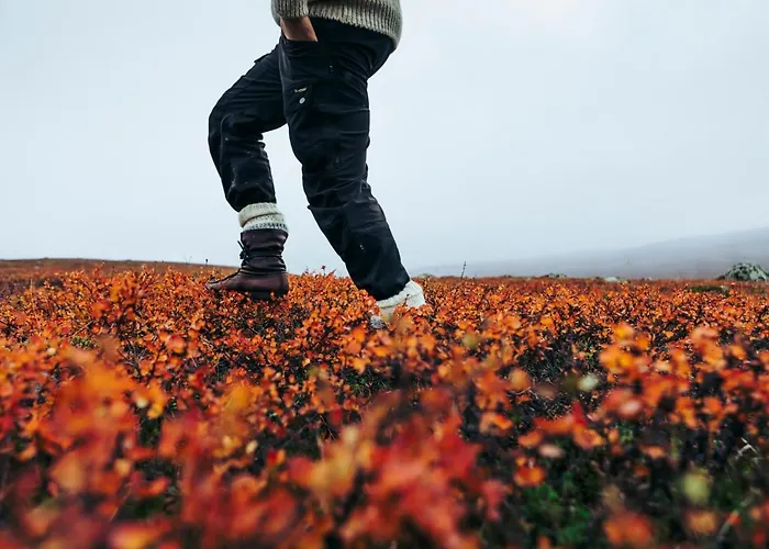 Lapland Riekonlinna 4*