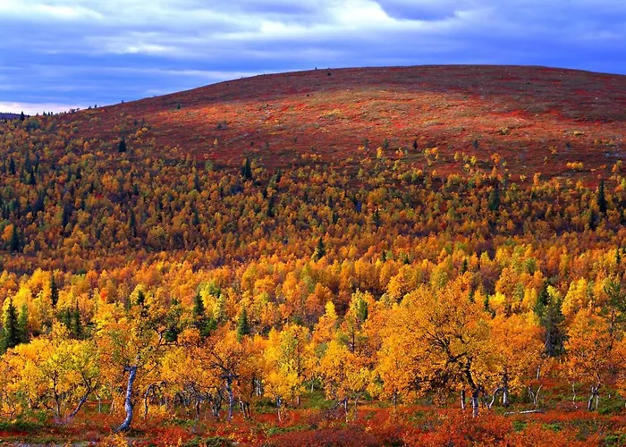 Hotel Lapland Riekonlinna