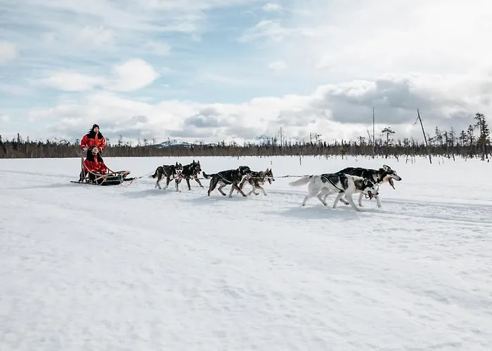 Lapland Riekonlinna 4* Saariselkä