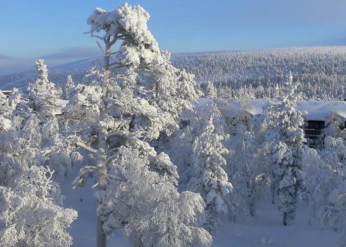 Lapland Riekonlinna 4* Saariselkä